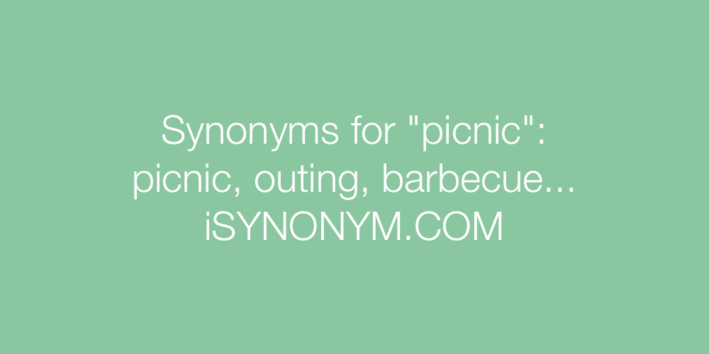 Synonyms picnic