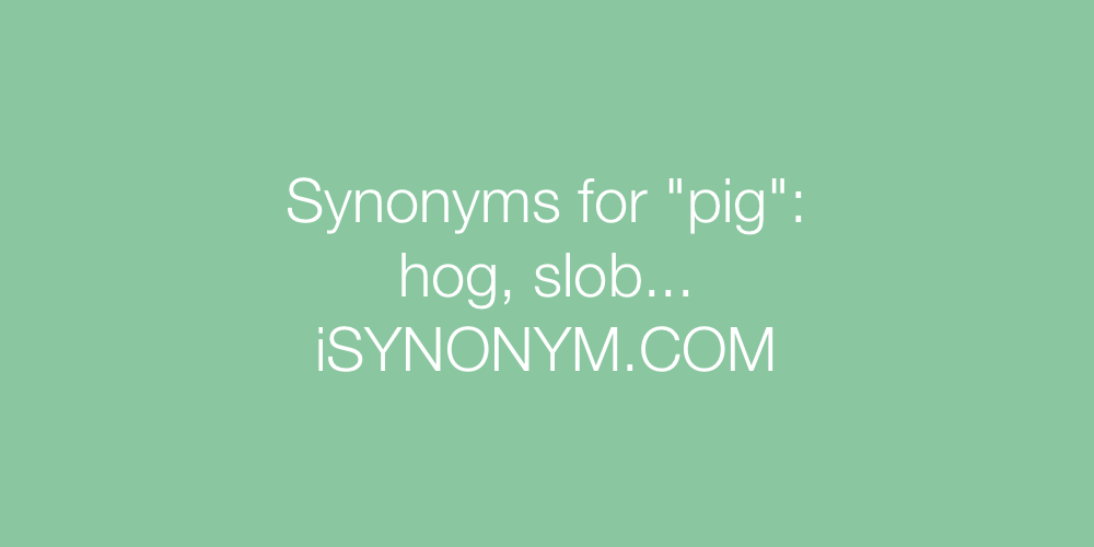 Synonyms pig