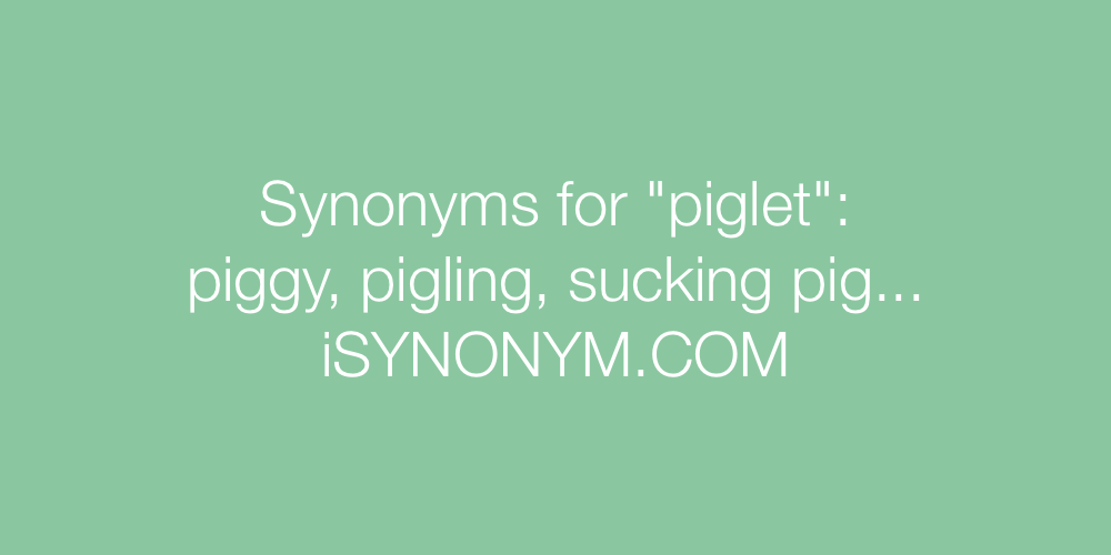 Synonyms piglet