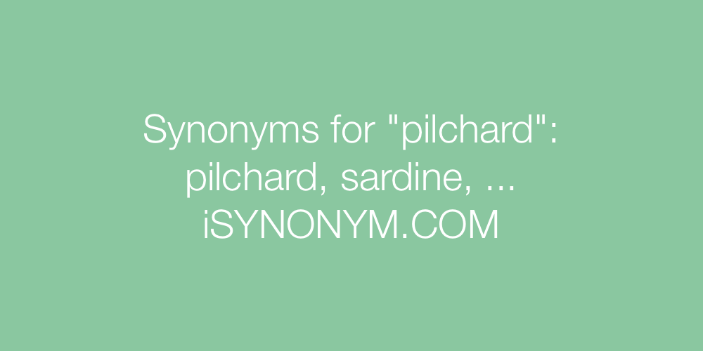 Synonyms pilchard