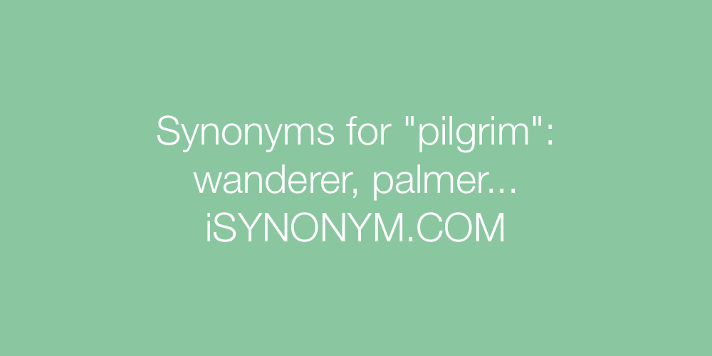 Synonyms pilgrim
