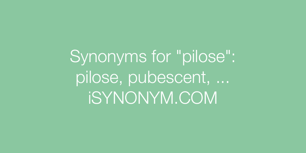 Synonyms pilose
