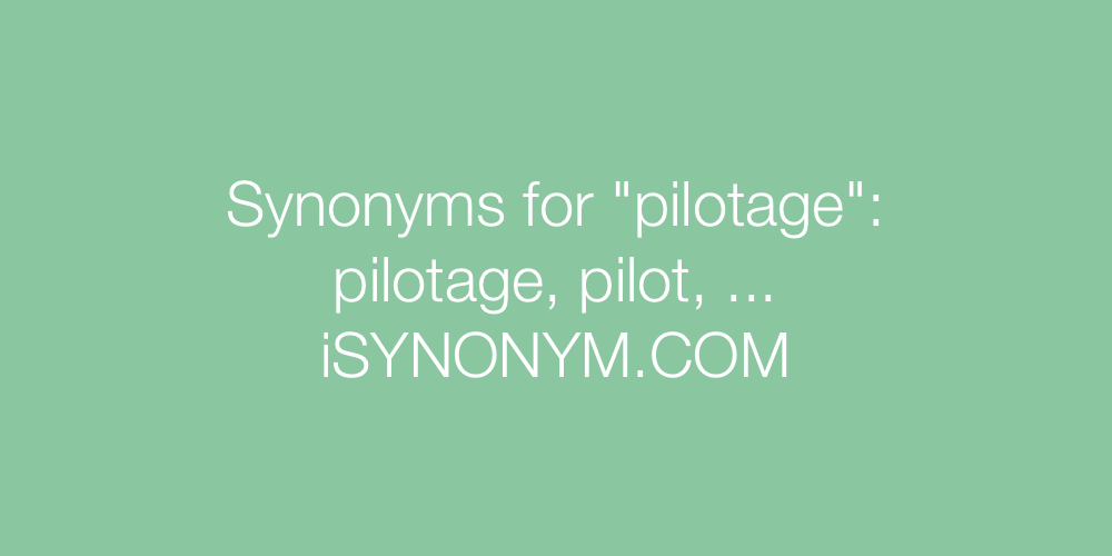 Synonyms pilotage