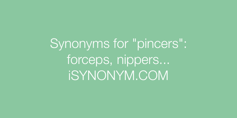 Synonyms pincers