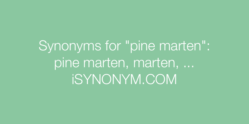 Synonyms pine marten