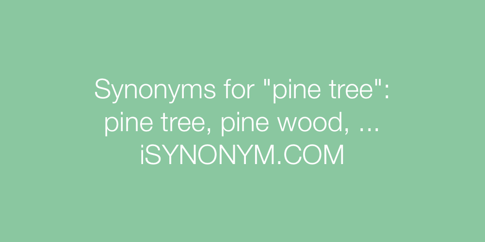 Synonyms pine tree