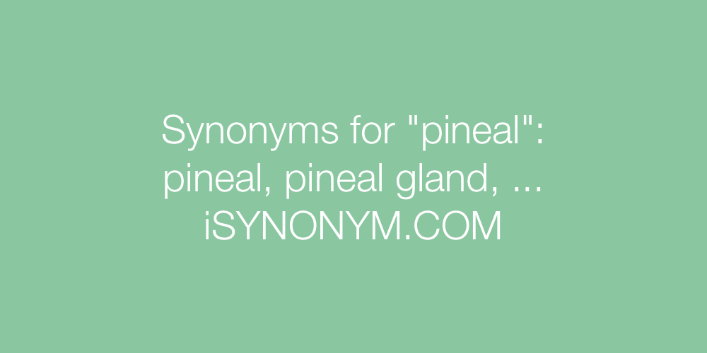Synonyms pineal
