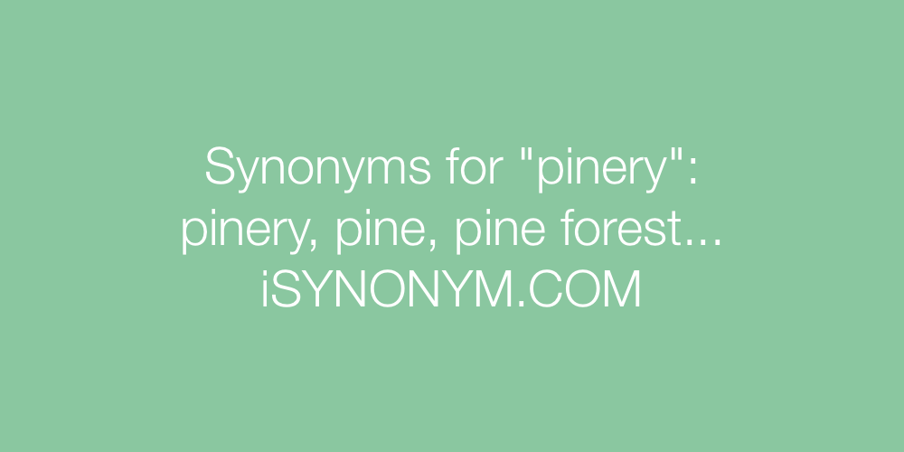 Synonyms pinery