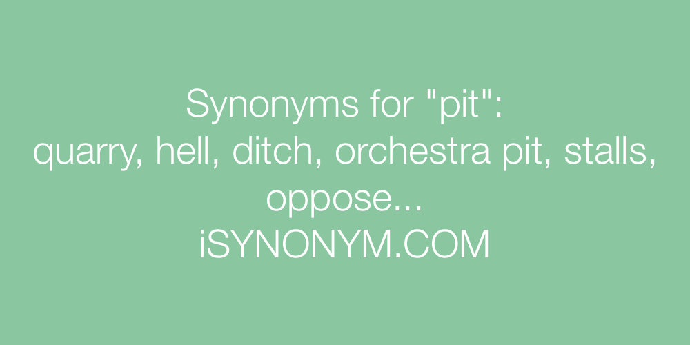 Synonyms pit