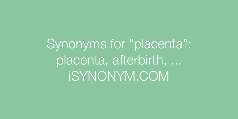 Synonyms placenta