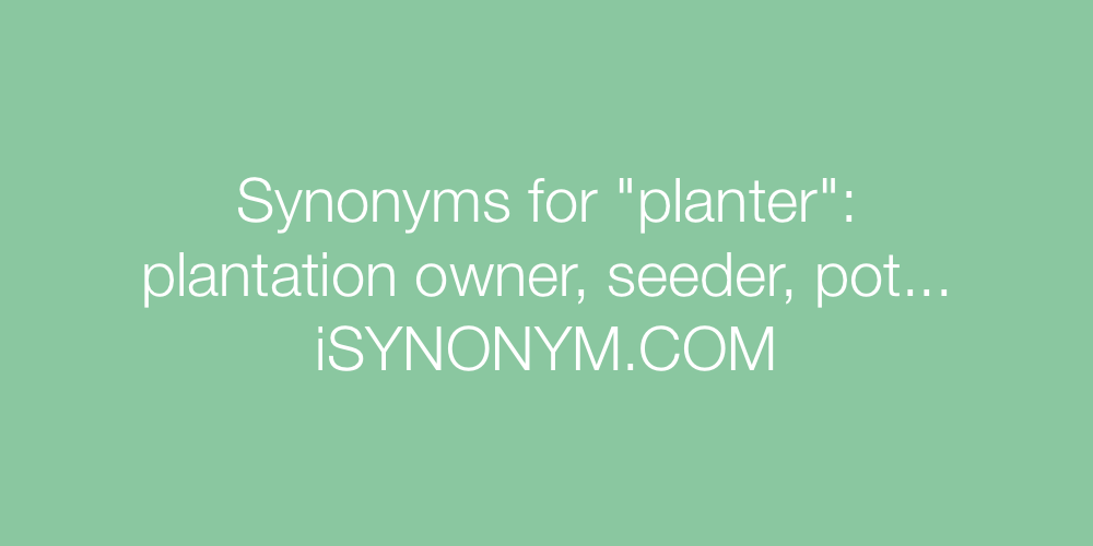 Synonyms planter