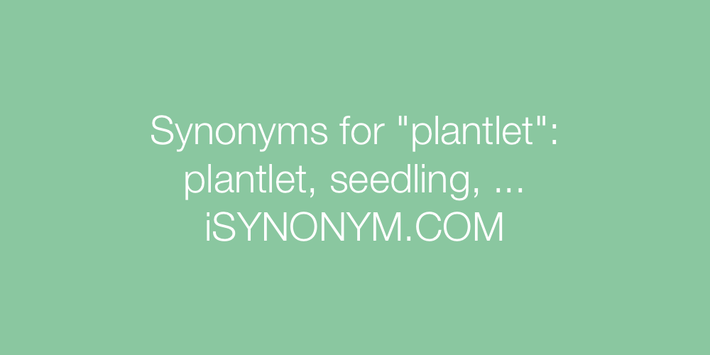 Synonyms plantlet