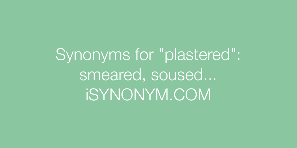 Synonyms plastered