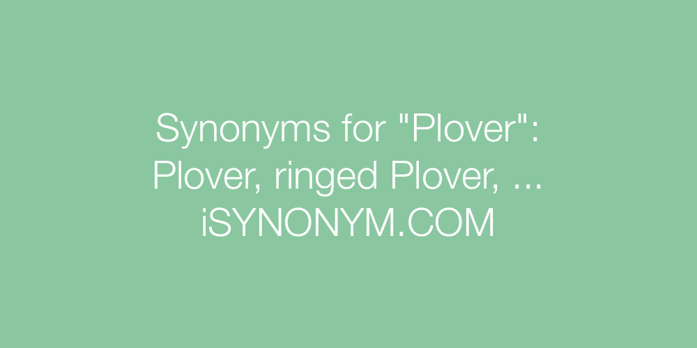 Synonyms Plover