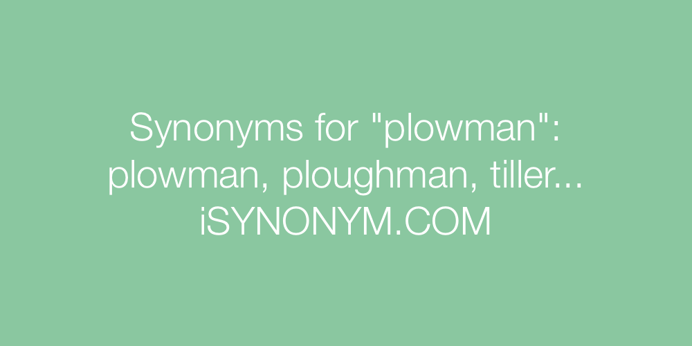 Synonyms plowman