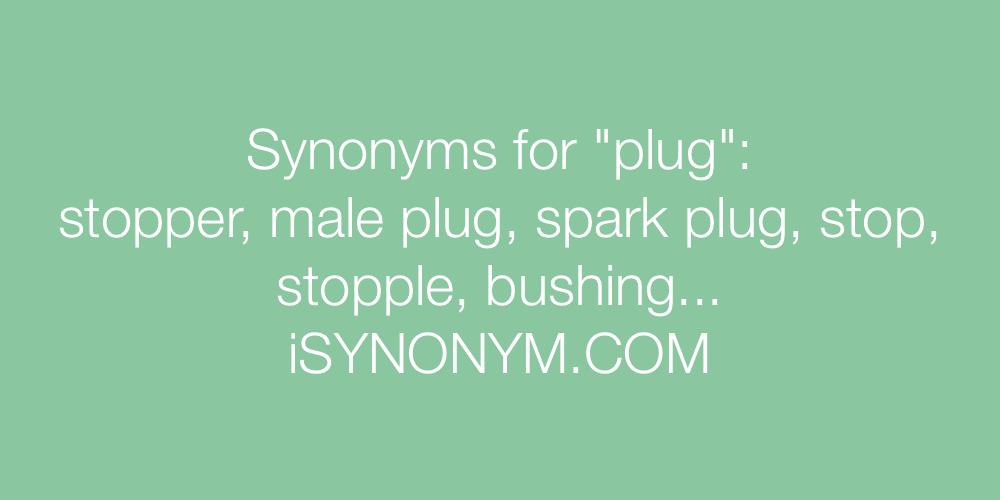 Synonyms plug