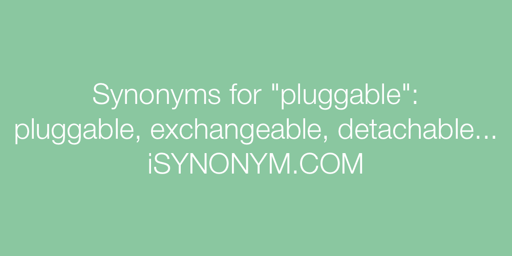 Synonyms pluggable