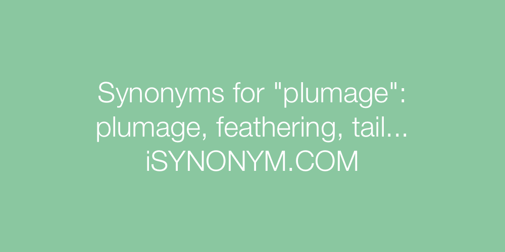 Synonyms plumage
