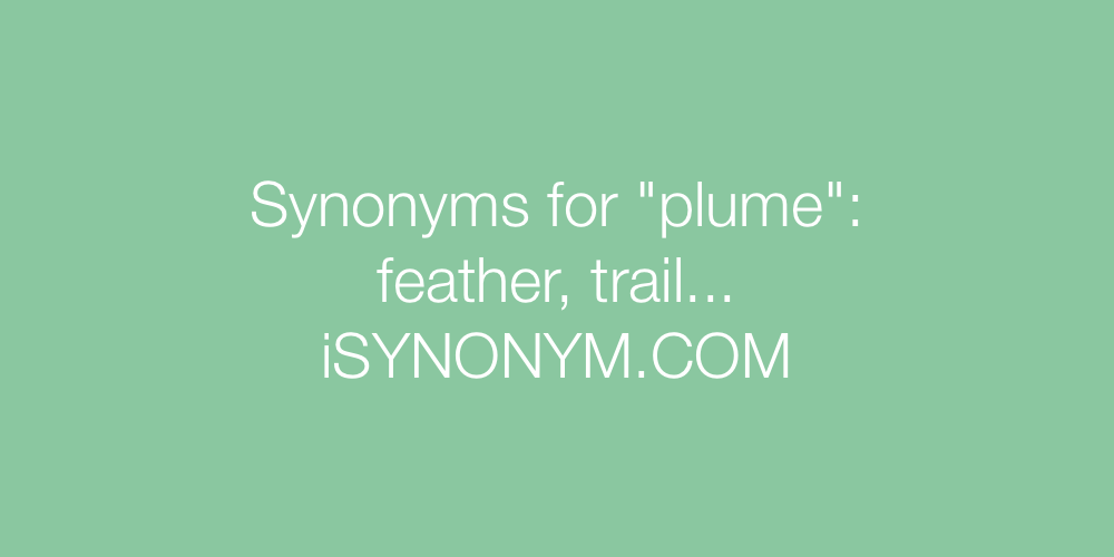 Synonyms plume