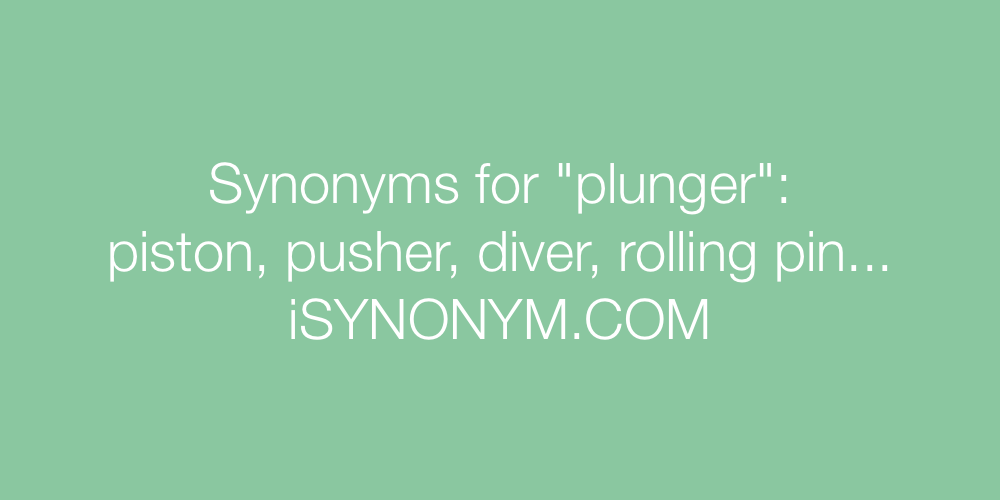 Synonyms plunger