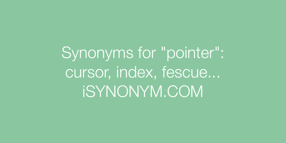 Synonyms pointer
