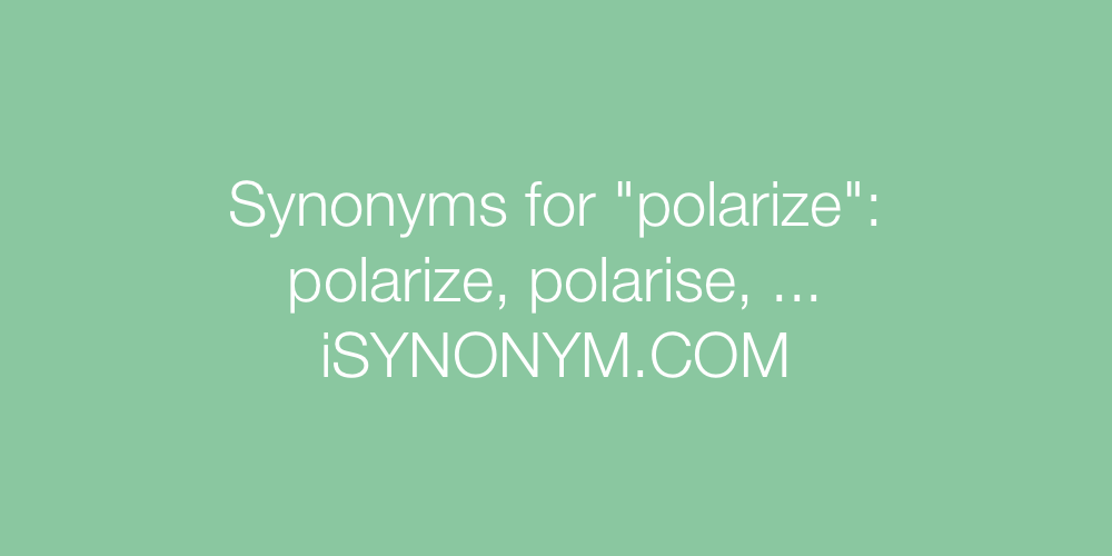 Synonyms polarize