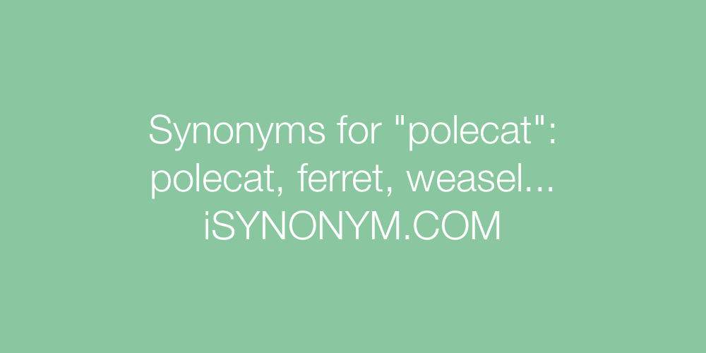 Synonyms polecat