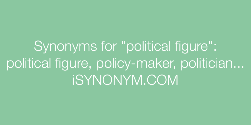 Synonyms political figure