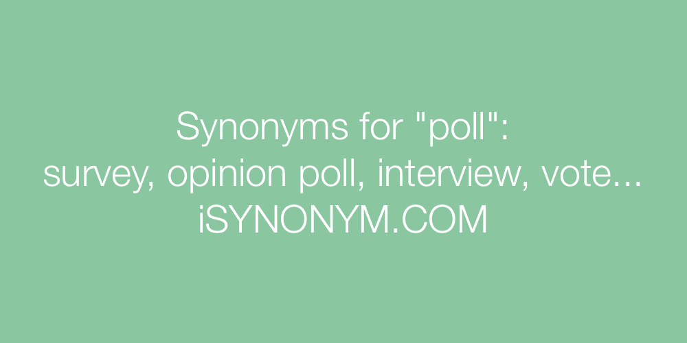 Synonyms poll