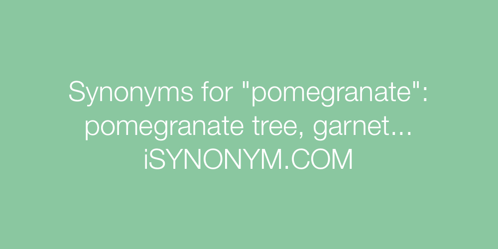 Synonyms pomegranate