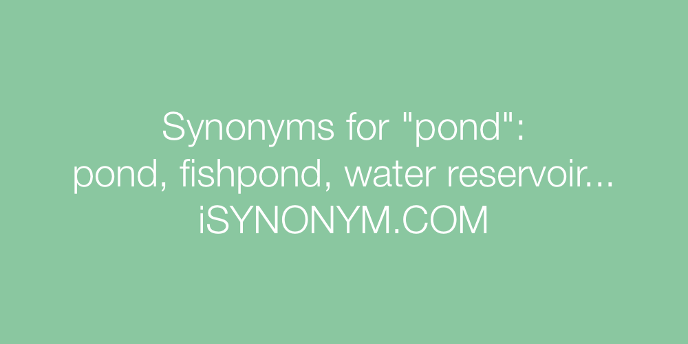 Synonyms pond