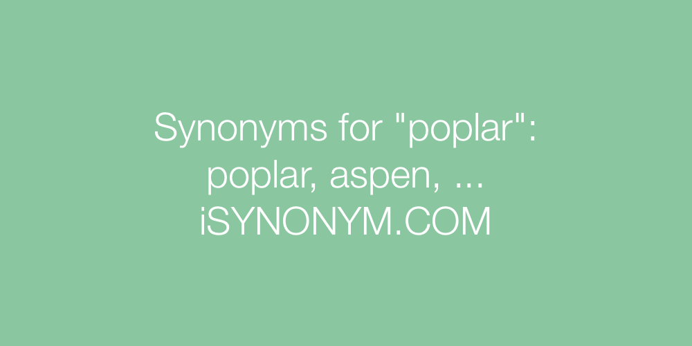 Synonyms poplar