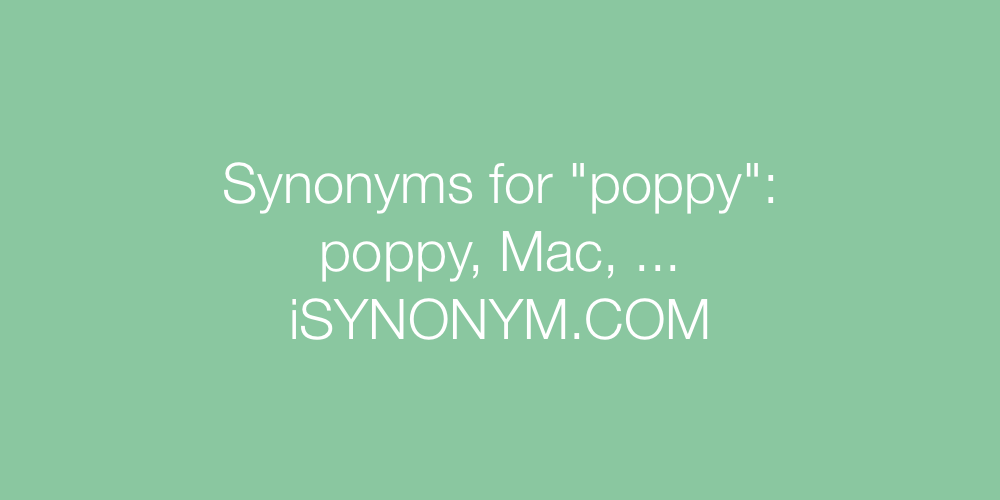 Synonyms poppy