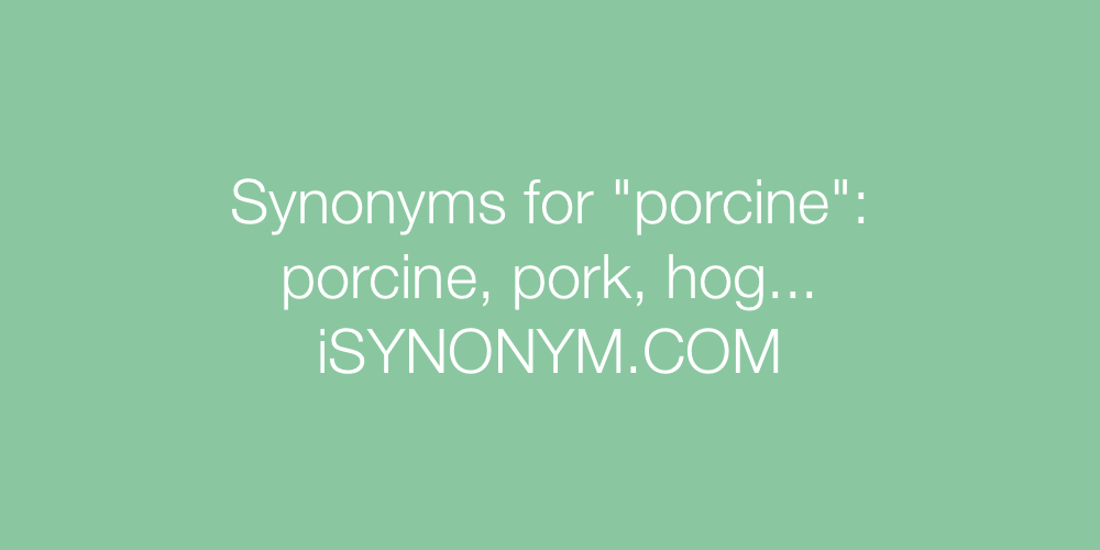 Synonyms porcine