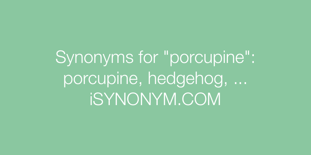 Synonyms porcupine