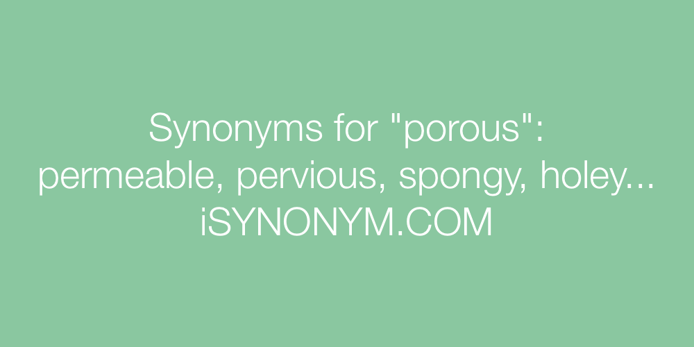 Synonyms porous