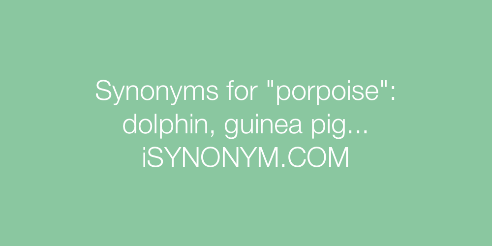 Synonyms porpoise