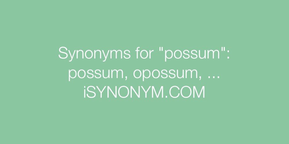 Synonyms possum