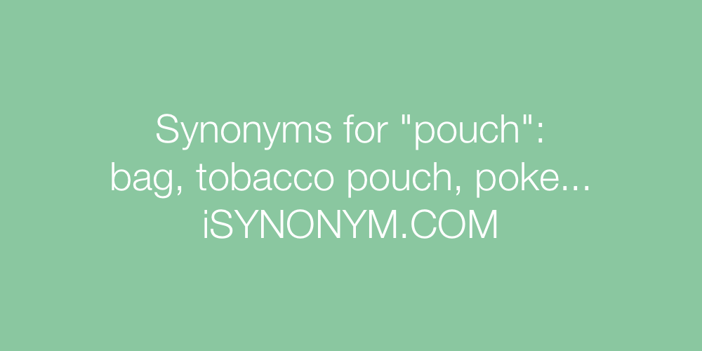 Synonyms pouch