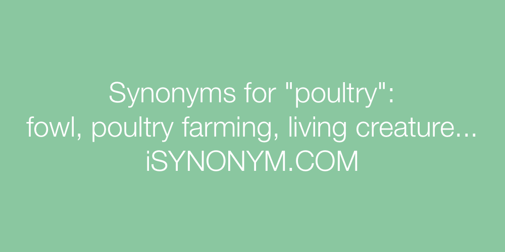 Synonyms poultry