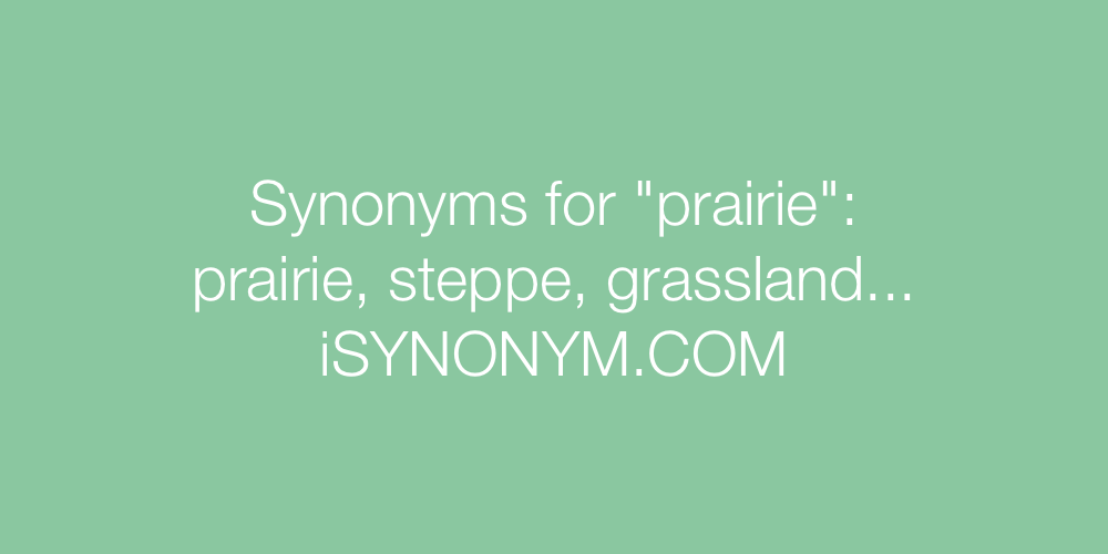 Synonyms prairie