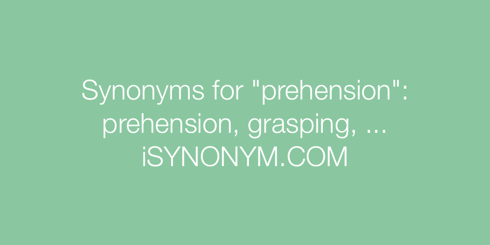 Synonyms prehension