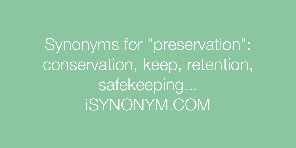 Synonyms preservation