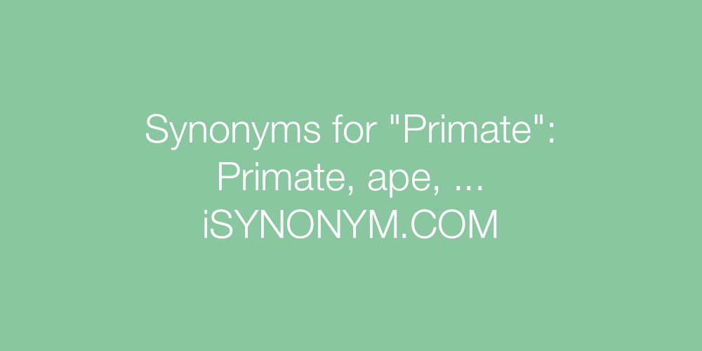 Synonyms Primate