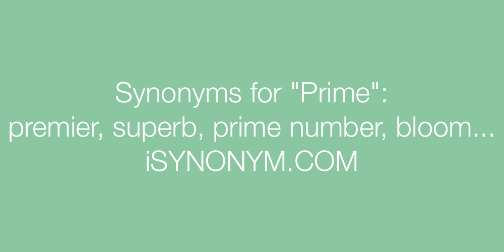 Synonyms Prime