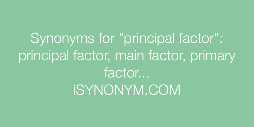 Synonyms principal factor