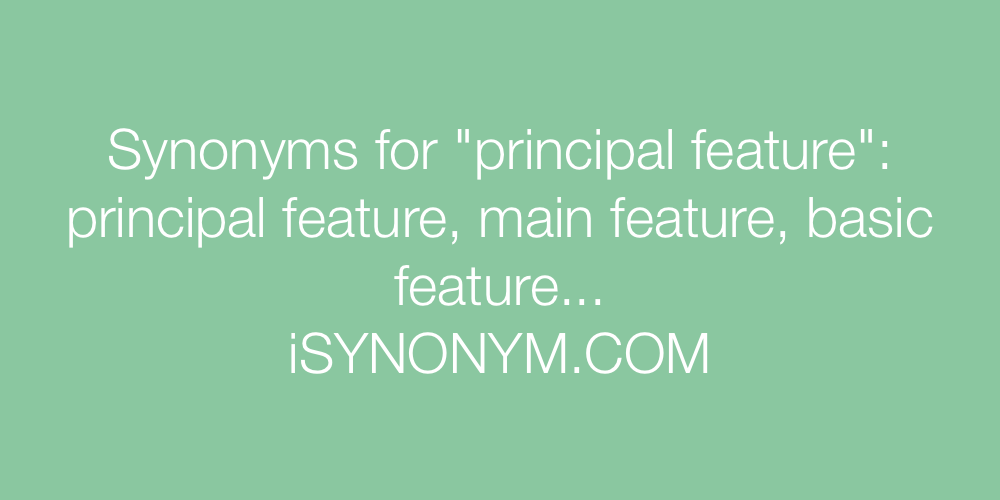 Synonyms principal feature