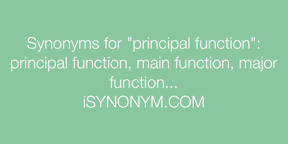 Synonyms principal function