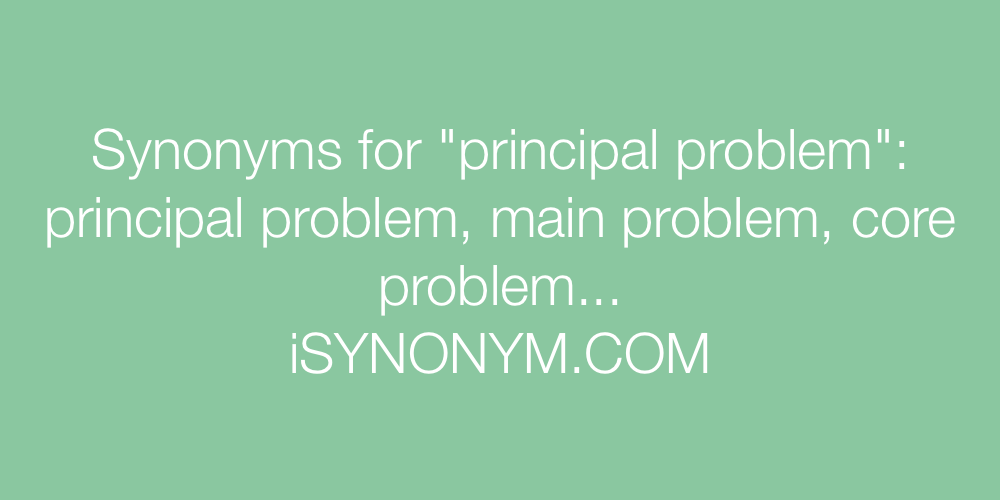 Synonyms principal problem