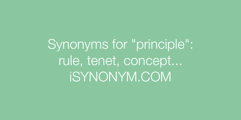 Synonyms principle